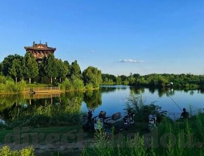 大象传媒app下载官方版-大象传媒，连接你我，共享精彩