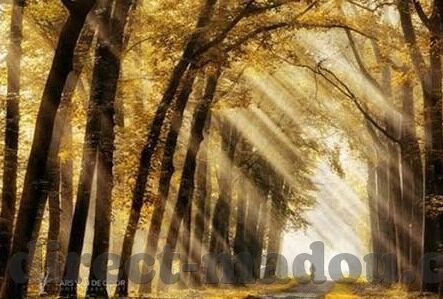 麻豆传媒视频手机在线-玩味与解读，麻豆传媒视频在移动设备上的特有魅力