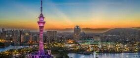 糖心app免费下载老版本-体验复古经典，尽享糖心往昔 —— 老版本下载之旅