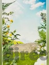 糖心app苹果打不开-糖心app苹果设想的困扰，为何在你我手指尖悄然失灵
